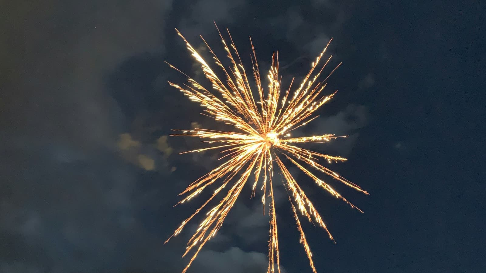 Happy 250th, America — Snowpack Numismatics is open
