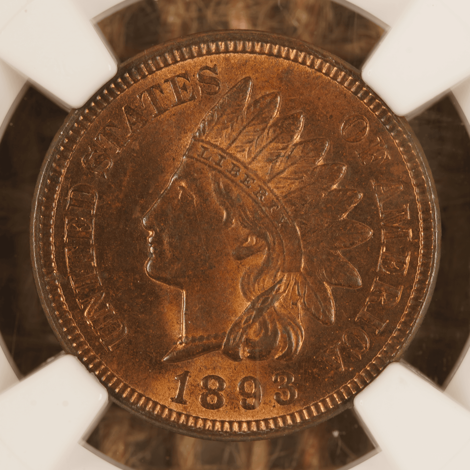 1893 Indian Head Cent