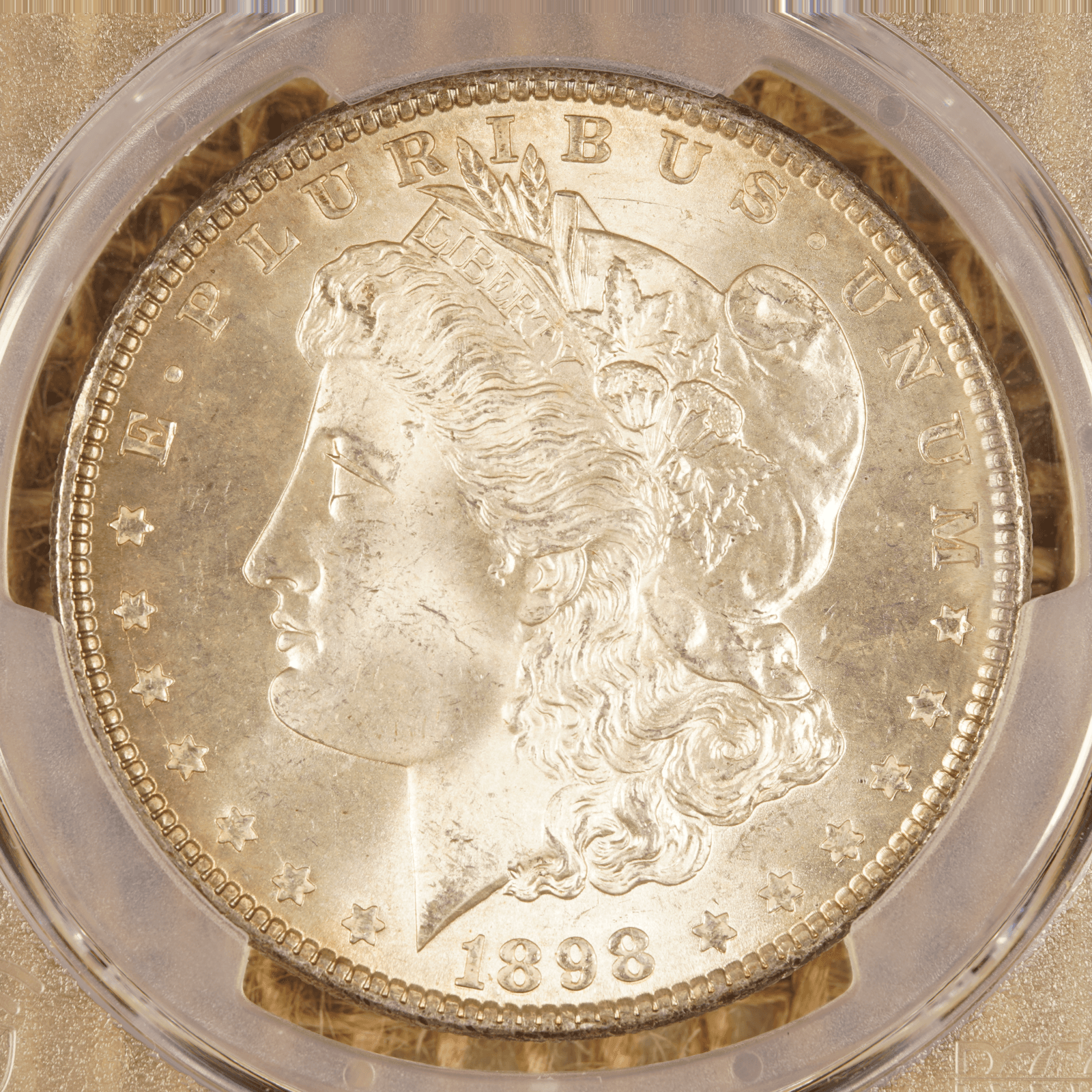 1898 Morgan Dollar