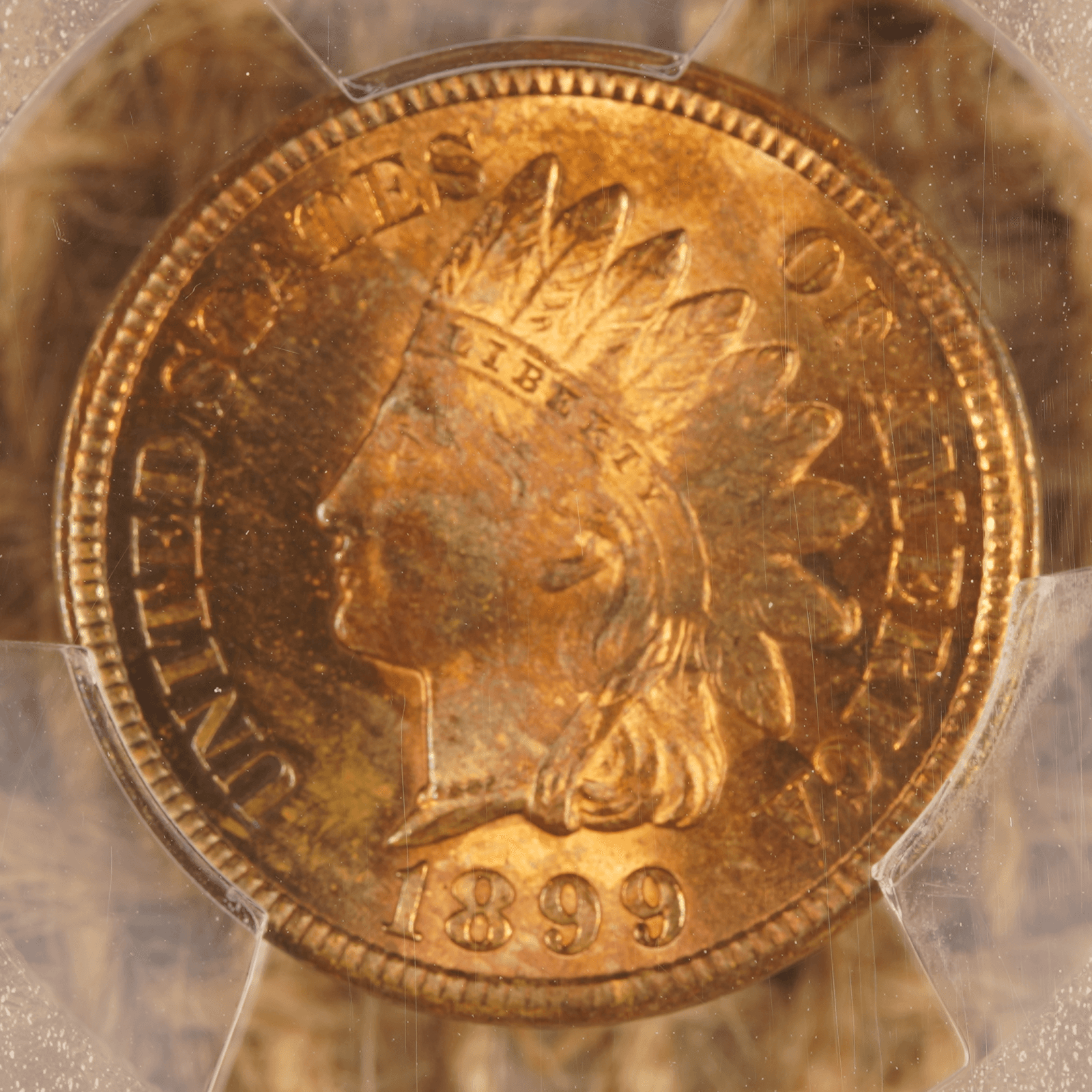 1899 Indian Head Cent
