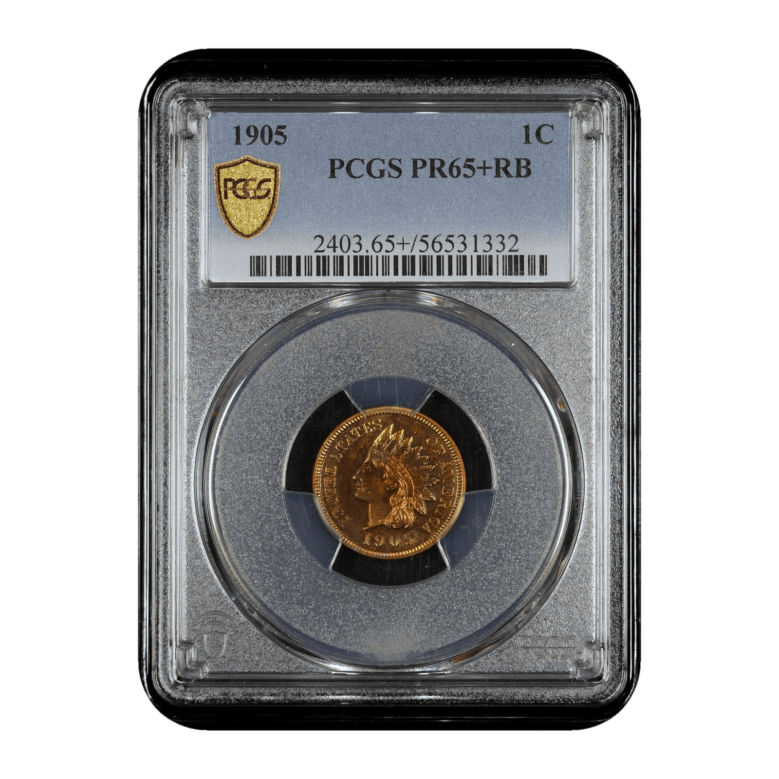 1905 Indian Head Cent