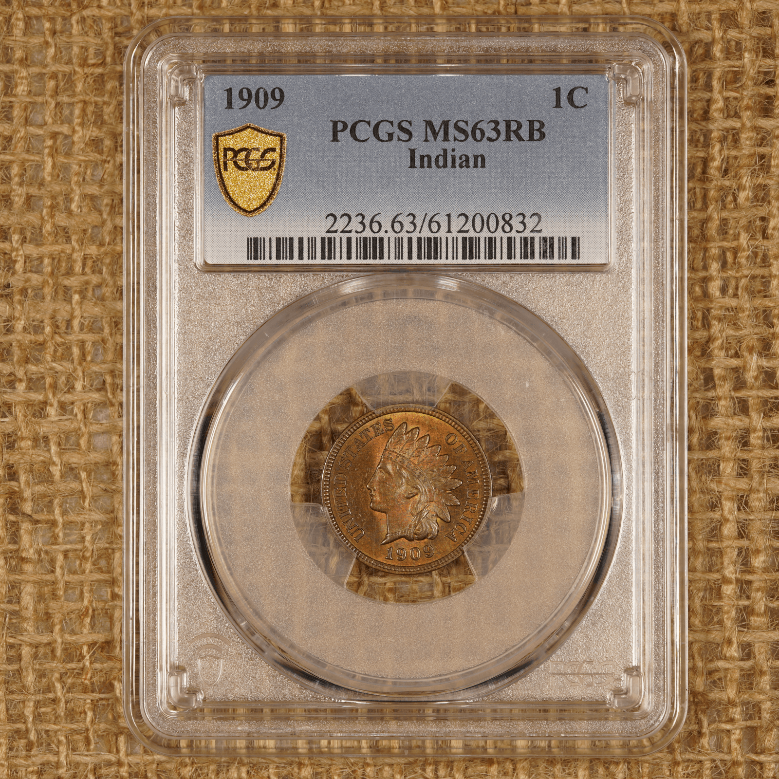 1909 Indian Head Cent