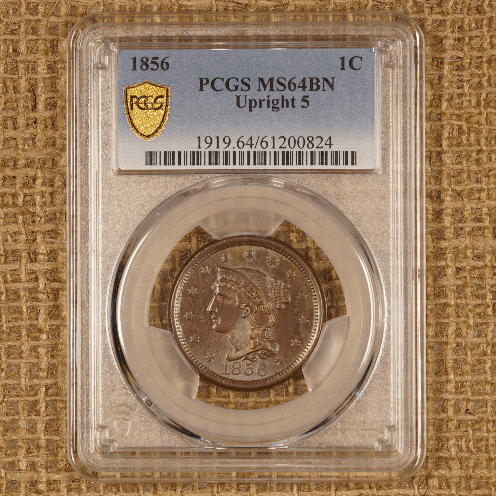 1856 Braided Hair Large Cent Upright 5