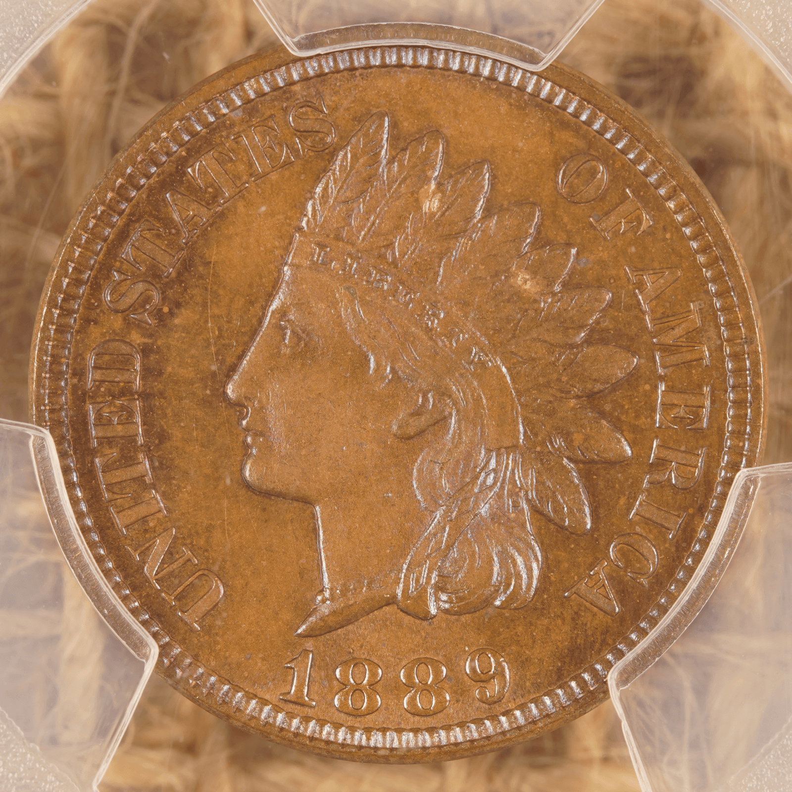 1889 Indian Head Cent (Proof)