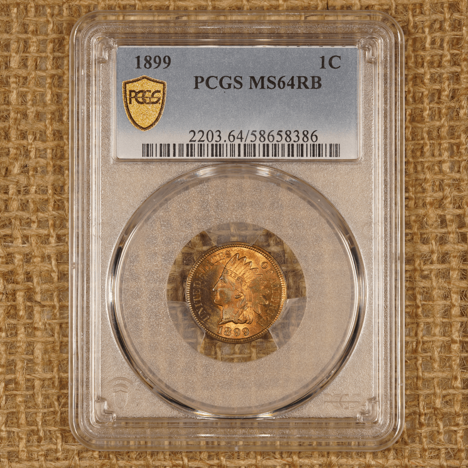 1899 Indian Head Cent