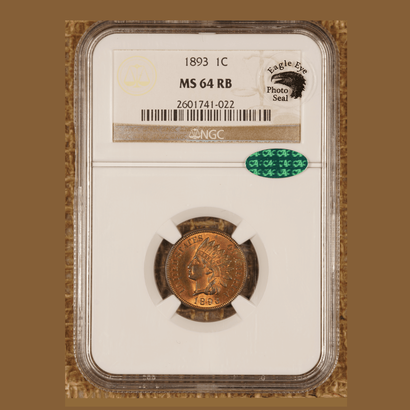 1893 Indian Head Cent